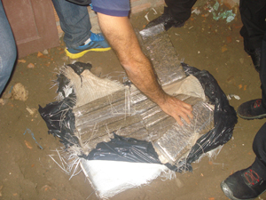 maconha no quintal 2