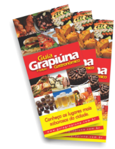 CAPA GUIA blog