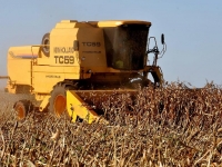 agrotoxicos