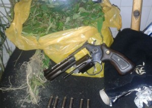 fazenda maconha 2