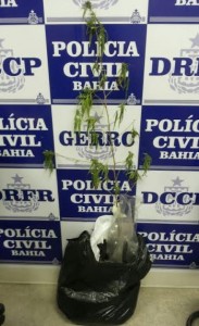 esporconha