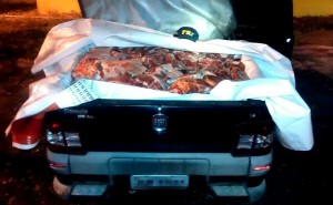 carne cland