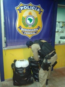 pol maconha