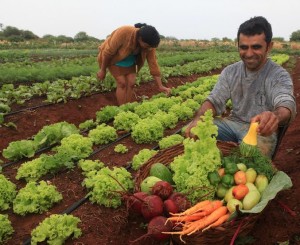 AGROECOLOGIA