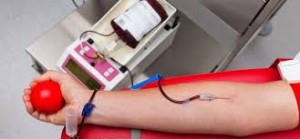 sangue