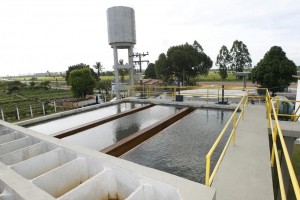 rui agua 2