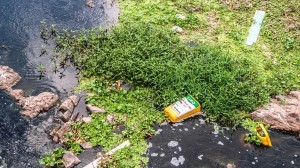 Lixeira recem colocada pela Prefeitura de Itabuna é jogada no Rio Cachoeira.