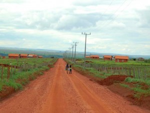 01321_assentamento_1564947122528581032