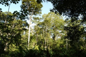 01321_criacaoassentametno_3704475610717622235