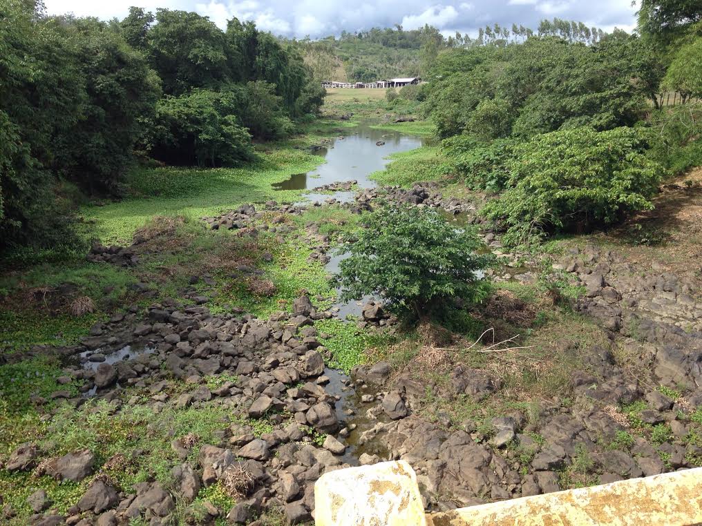 Nascente do Rio Cachoeira, na junção dos rios Salgado e Colônia, em Itapé. A maior estiagem no Sul da Bahia em três décadas afeta o rio e provoca colapso no abastecimento de água em Itabuna. 