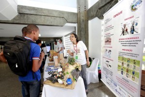 Videoconferência Sobre O Combate Ao Aedes Aegypti