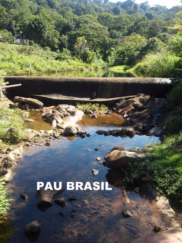 Seca afeta mananciais no Sul da Bahia e falta dágua ganha contornos dramáticos. Milhares de pessoas em dezenas de municípios sobrem com colapso no abastecimento. 