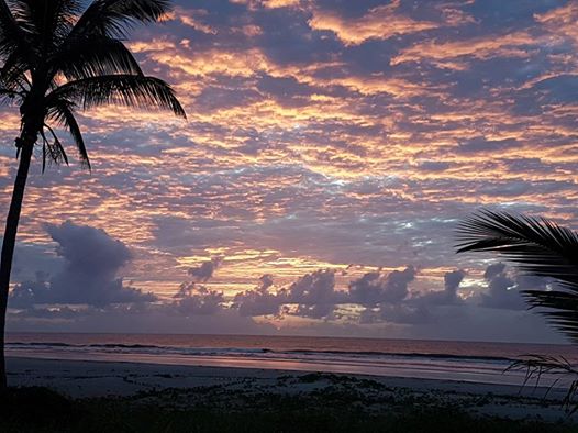 Nascer do sol no litoral norte, Ilhéus, Bahia (foto Maria Thais Alvim)