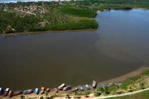 carangueijo 2
