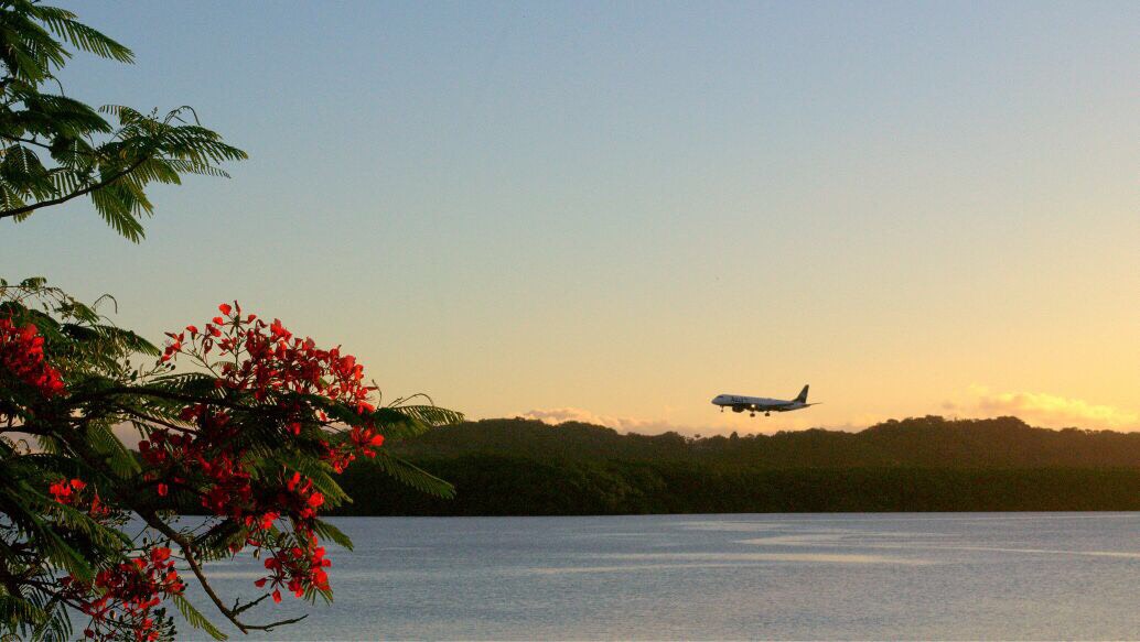 Sapetinga, Ilhéus. Um voo da natureza em seu esplendor  (foto: Mauricio Maron)
