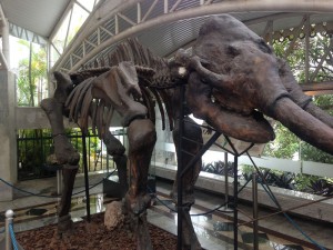 museu 4