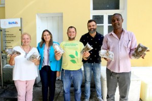 Voluntárias Sociais da Bahia
