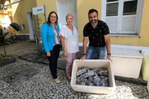 Voluntárias Sociais da Bahia