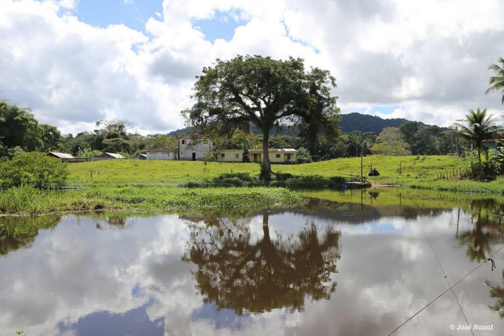 Fazenda de cacau  às margens do Rio Almada, zona rural de Ilhéus