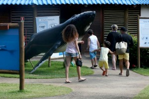 baleia 2