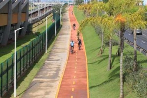 ciclo 2