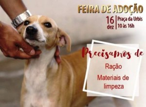 Feira animais