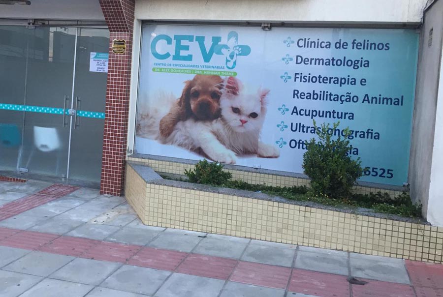 cev ht (2)
