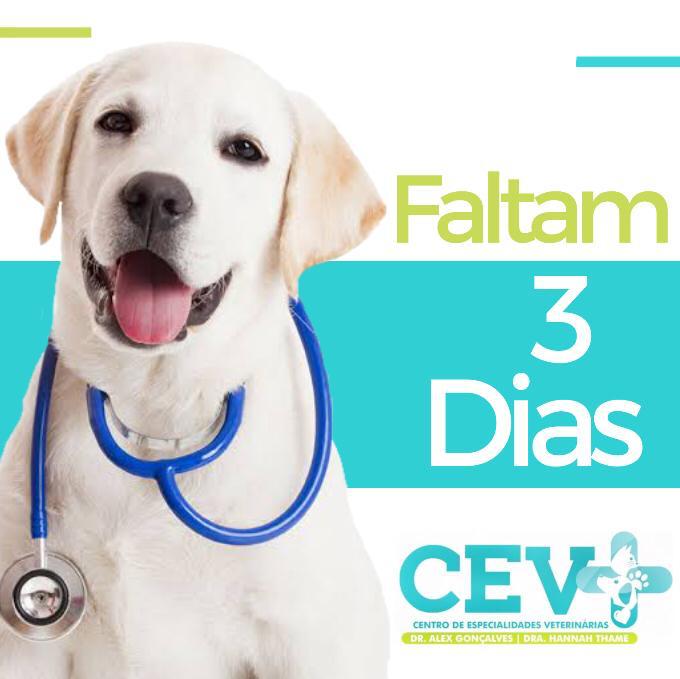 contagem r CEV (2)