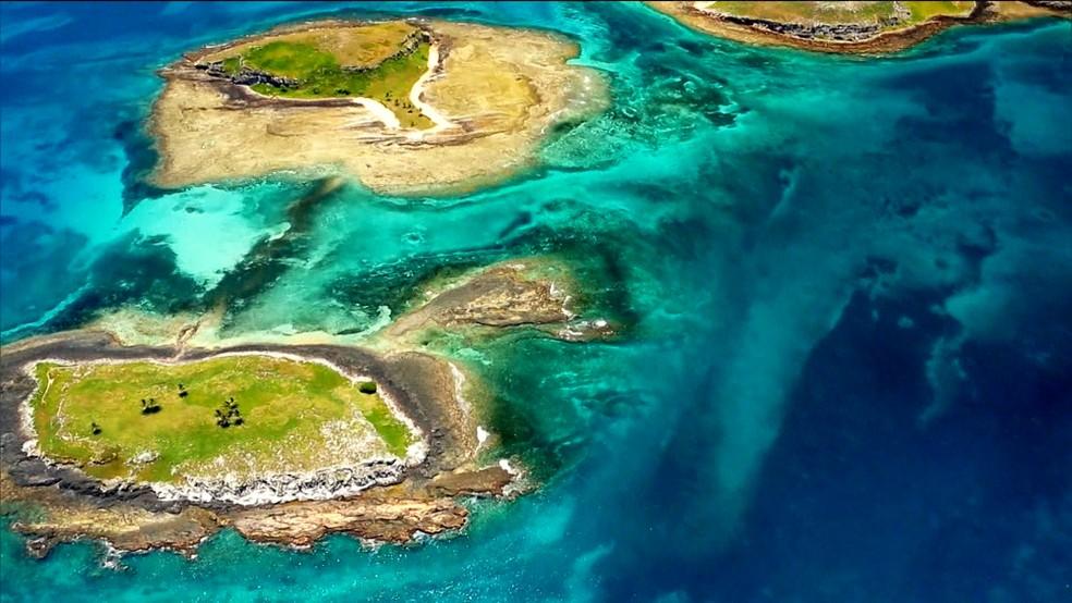 abrolhos