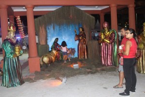 FOTO VIVIANE CABRAL (15)