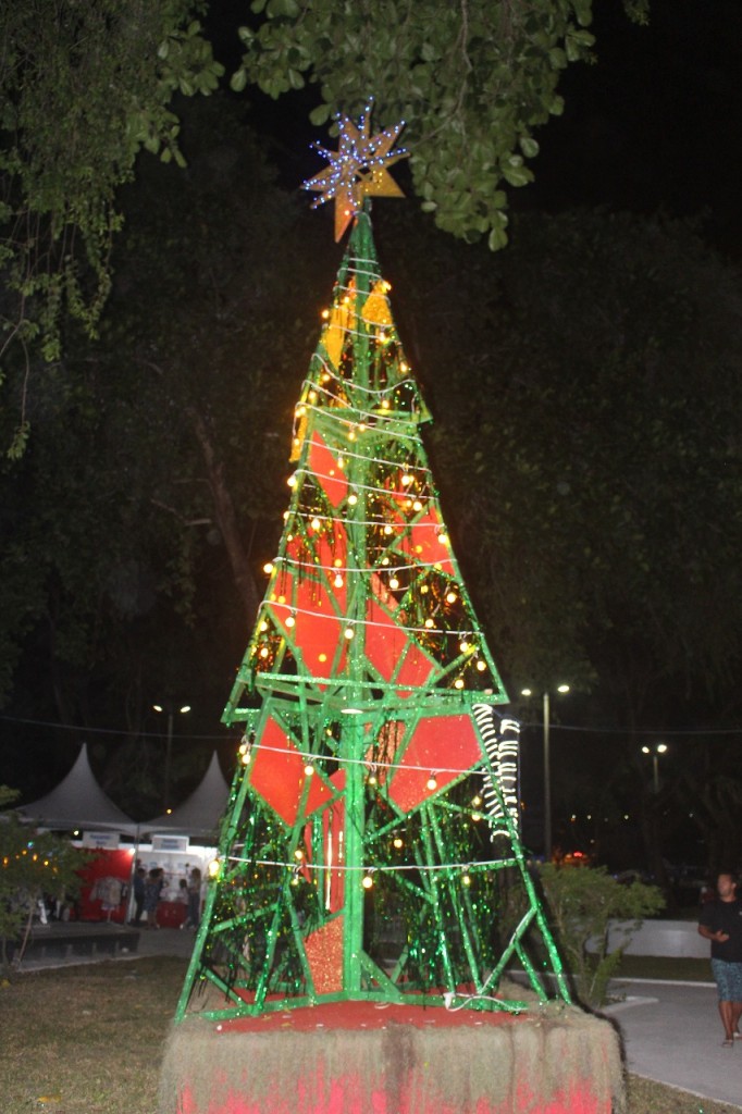 FOTO VIVIANE CABRAL (3)