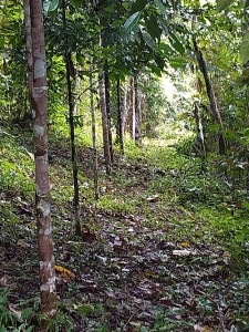 (foto arquivo pessoal Daniel Piotto)