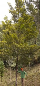 (foto acervo pessoal Daniel Piotto)