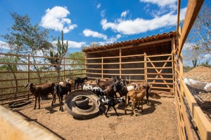 13F157EB-7B59-4C6F-B85A-663DB992E923