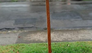 1BD7F9D5-5B7F-4AD2-9B36-76A09B8016CC