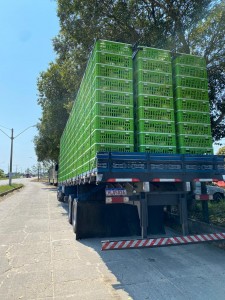 06CBAA76-C00A-470C-91CA-527874BA9632