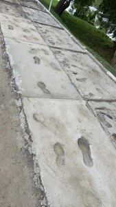 A4F02AC9-8A5A-4FFE-BF4D-FC70AD60F734