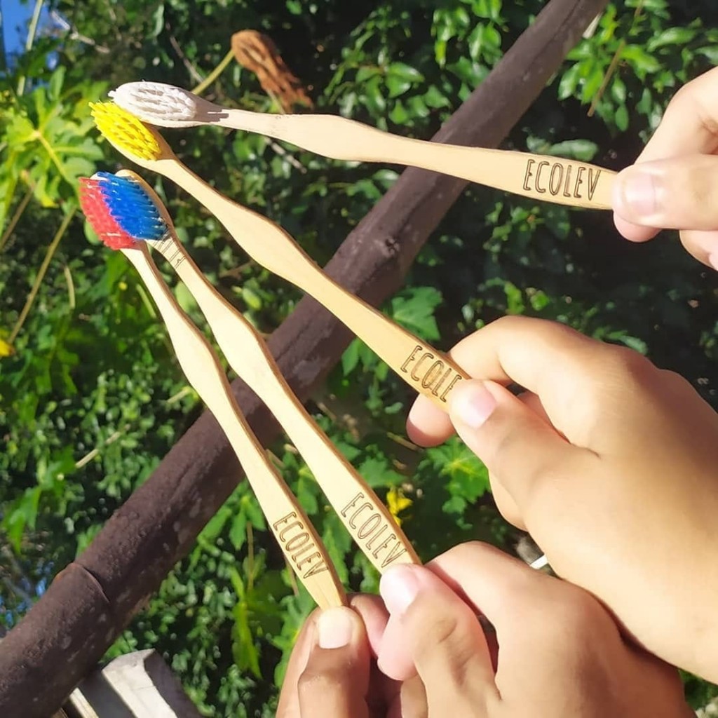 Escovas de bambu podem agregam sustentabilidade
