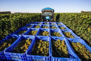 30AB4E2B-082C-43B3-9E78-F520A0BDC684