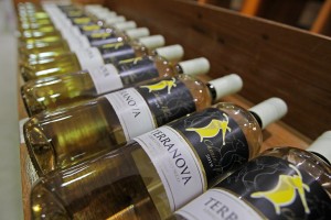 AF7F4582-D383-40A9-AAEA-77BEB11C663B