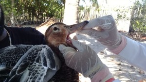 9D4EDF46-E9A6-4439-8F67-FD1C57744495