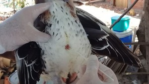 BA413B56-3E38-428C-A79C-0F7216BB7794