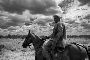 Vaqueiro cavalga na caatinga em mais registro de Heitor Rodrigues