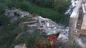 A39A427A-1323-40D5-B09F-0052CA236BBE