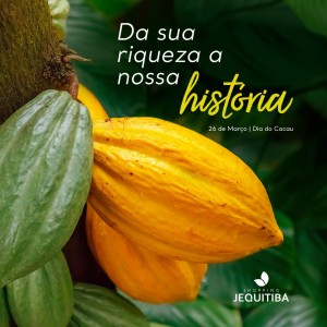 cacau jequitiba