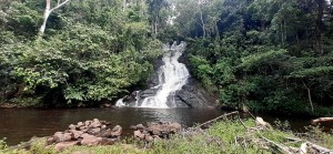 pancada 2