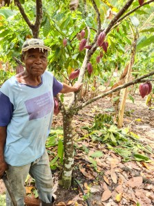 bahia cacau ater (2)