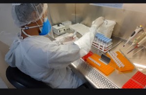 lab 1
