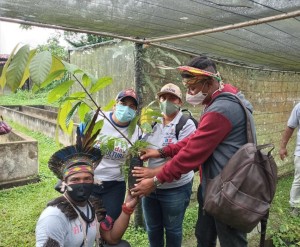 sdr sul da bahia (1)