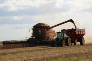 agricutura